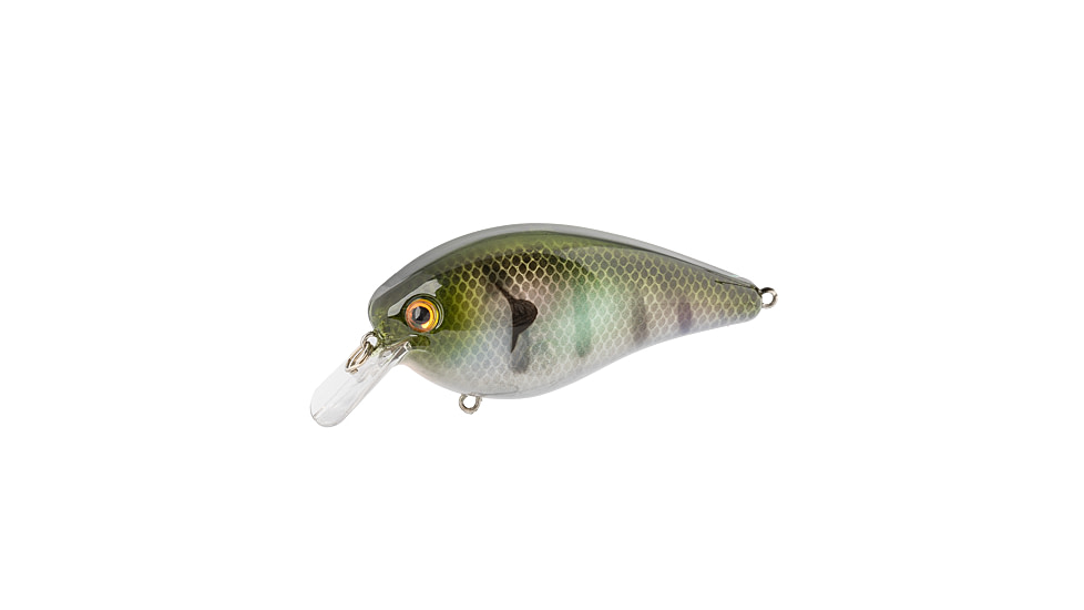 Strike King KVD Elite 2.5 Crankbaits, The Real Gill, 5/8oz, HCKVD2.5E-822