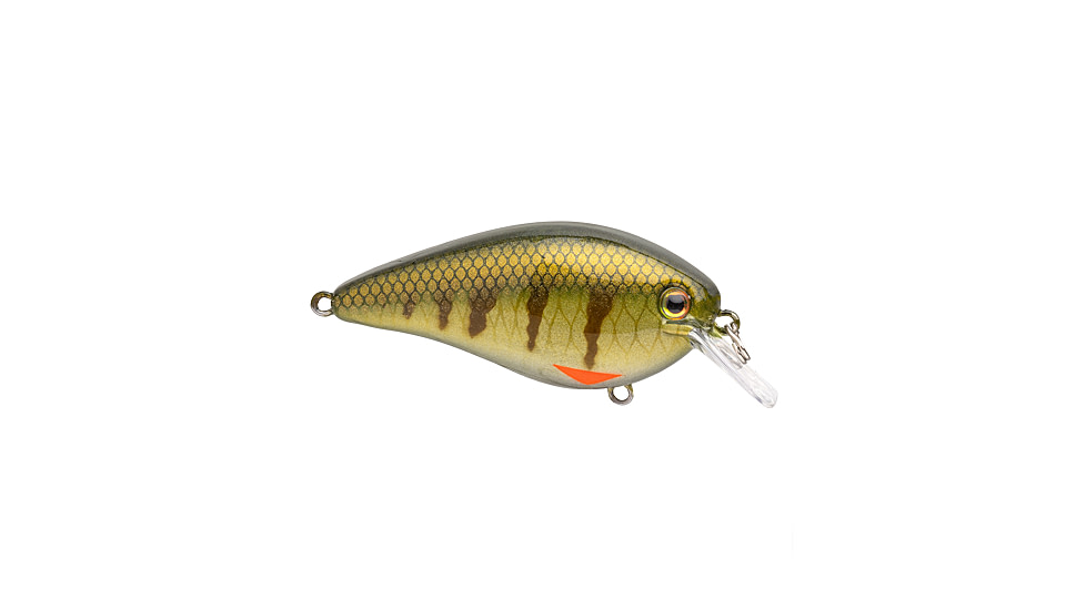 Strike King KVD Elite 4.0 Crankbaits, Pro Phantom Perch, 7/8oz, HCKVD4.0E-339