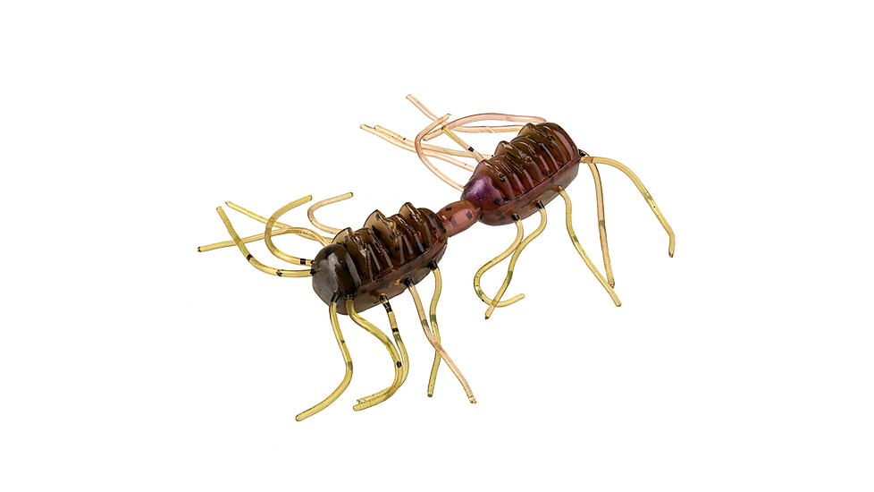Strike King Sexy Bug Softbait, 6 pack, 3in, Grape Whiskey, 12-36369