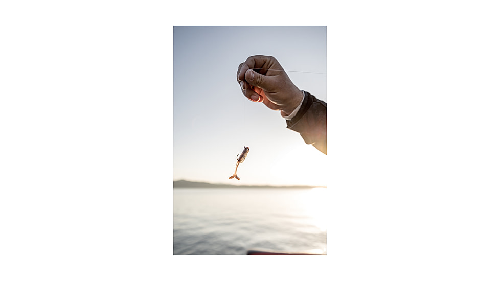Strike King Strike King Pinger Minnow, 1/4oz, Carolina Chrome, 3in, SKPNGR3-475