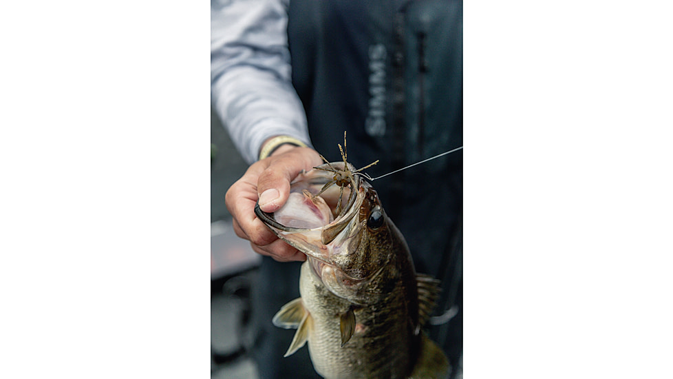 Strike King Tumbleweed Floating Softbait, 4 pack, 3in, Green Pumpkin, 12-36247