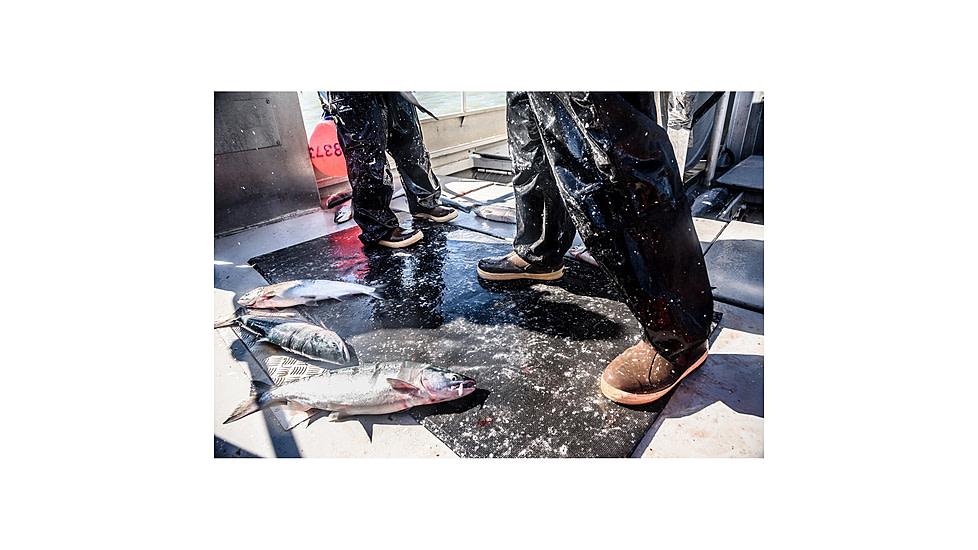 Xtratuf 15 in Plain Toe Insulated Elite Legacy Boot - Mens, Copper/Tan, 7, 22613-CTM-070