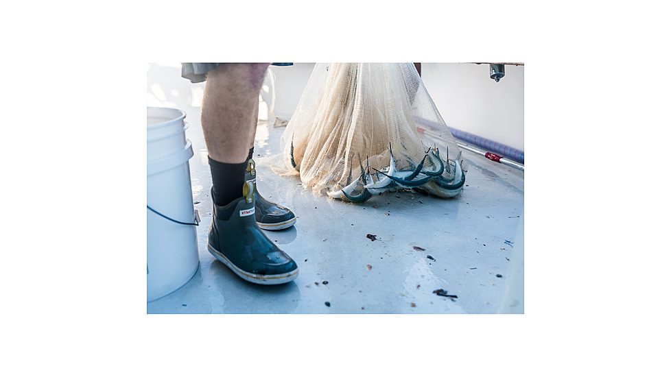 Xtratuf 6 in Ankle Deck Boot - Mens, Gray, 8, 22735-GRY-080