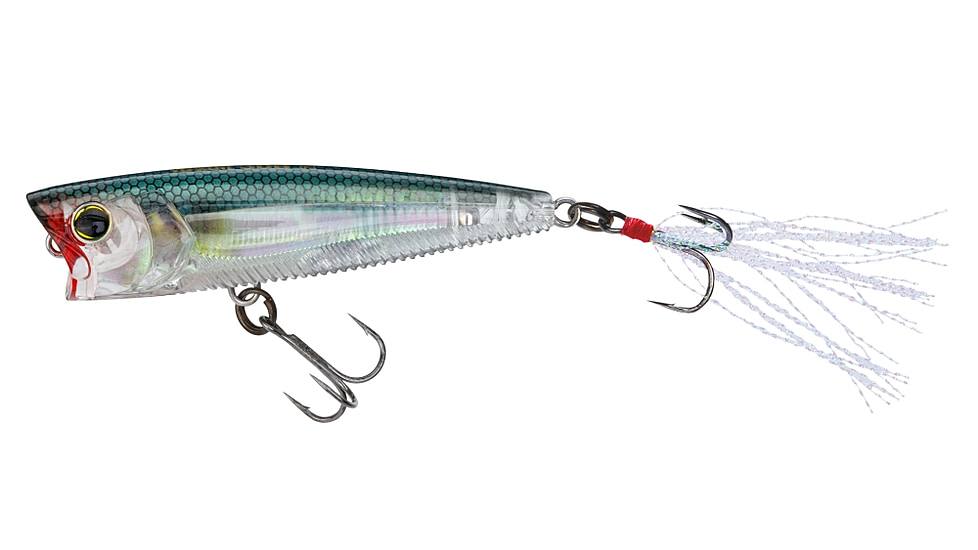 Yo-Zuri 3DB Popper Lure, 75mm, Real Gizzard Shad, R1101 RGZS