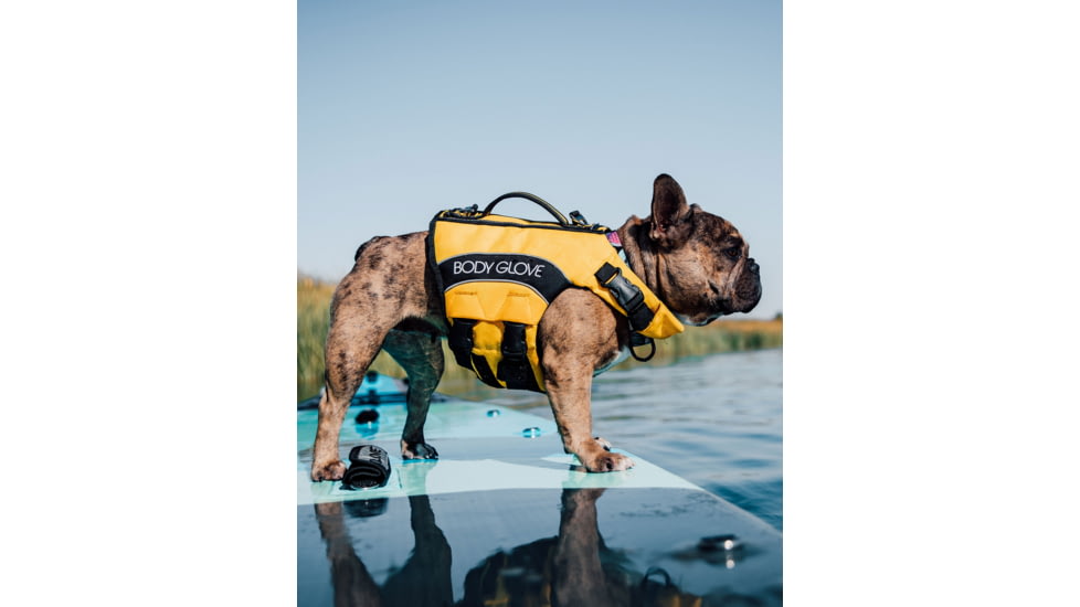 Body Glove Dog Life Vest for Swimming and Safety - Yellow 9BBE76F1, XS, Yellow, GOLBGPFD-YLW-XS