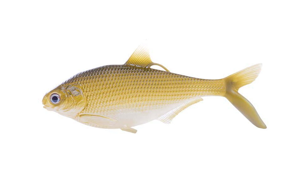 Rapala BAMF Shad Wedge Tail Swimbaits, 1, 5 - 5.25in, Golden Retriever, CB-BAMFW8-3