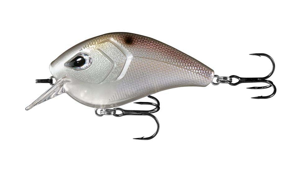 Rapala Flatty Daddy Flat Sided Crankbait 2.5in, 1/2oz, Casper Shad, 2.5in, FD65-6-24