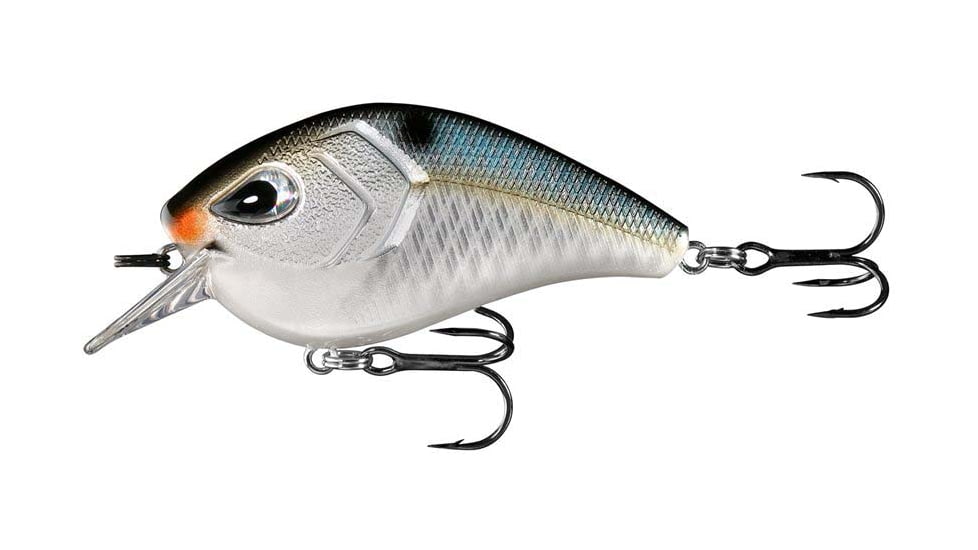 Rapala Flatty Daddy Flat Sided Crankbait 2.5in, 1/2oz, Natty Light, 2.5in, FD65-6-14