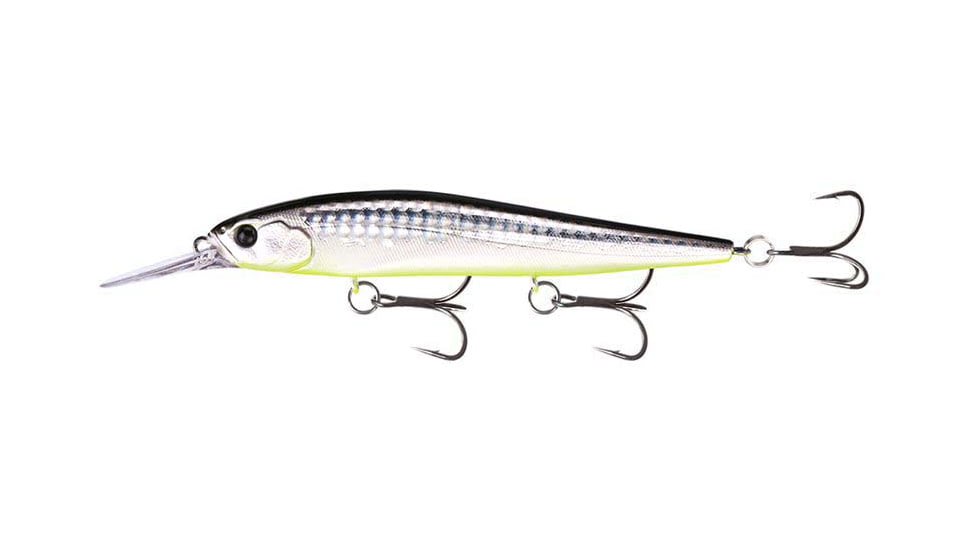 Rapala Loco Special Jerkbait 4.25in, 9/16oz, 3-5ft, Neon Disco Shad, 4.25in, LS35-38