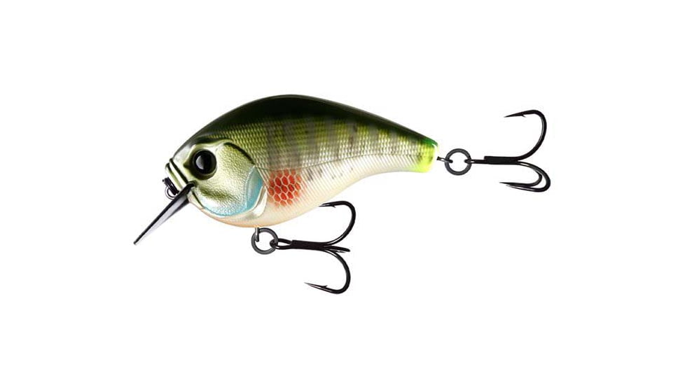 Rapala Scamp Square Bill, 1/2oz, Dream Gill, 1.5in, E-SC15-GL
