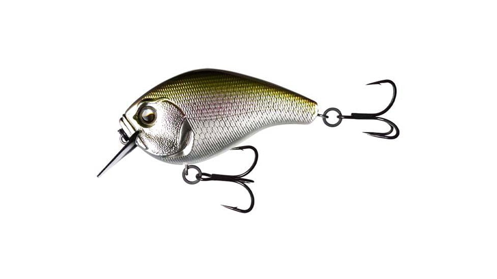 Rapala Scamp Square Bill, 1/2oz, Epic Shad, 1.5in, E-SC15-ES