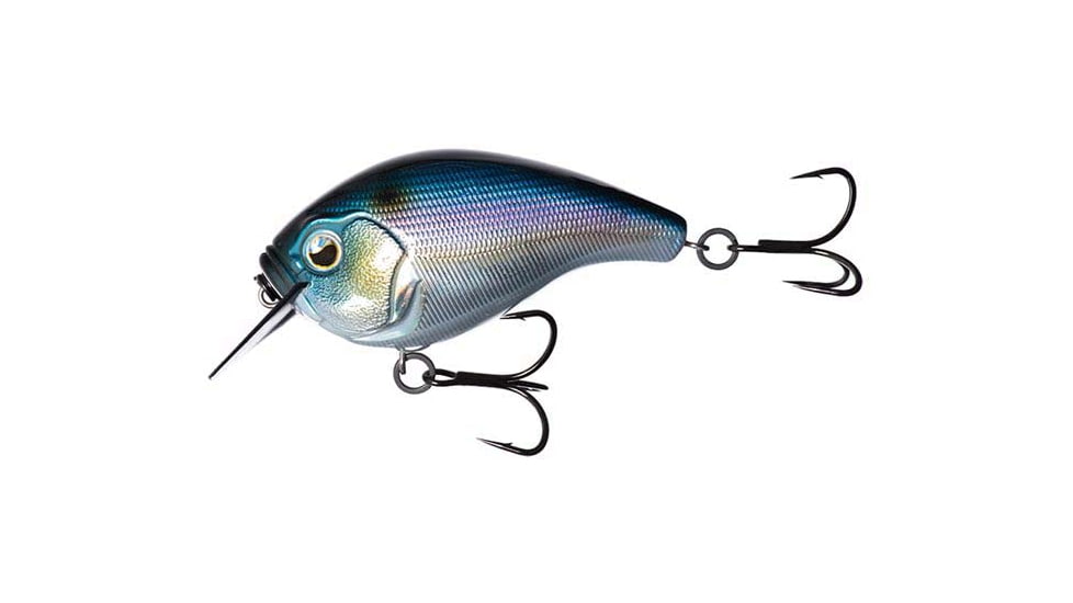 Rapala Scamp Square Bill, 1/2oz, Fantasy Shad, 1.5in, E-SC15-FS