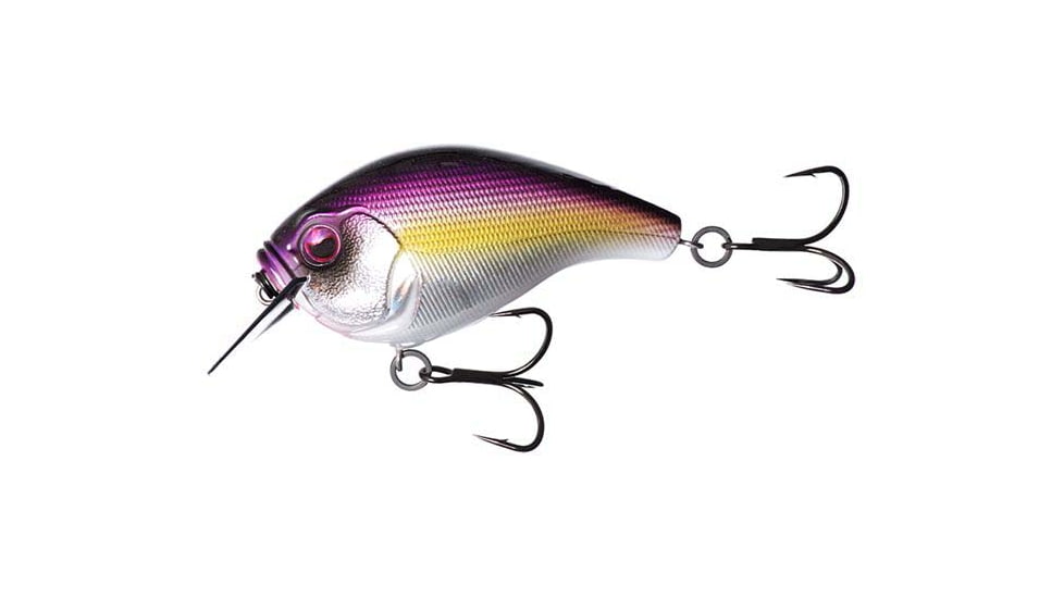 Rapala Scamp Square Bill, 1/2oz, Purple Nurple, 1.5in, E-SC15-PN