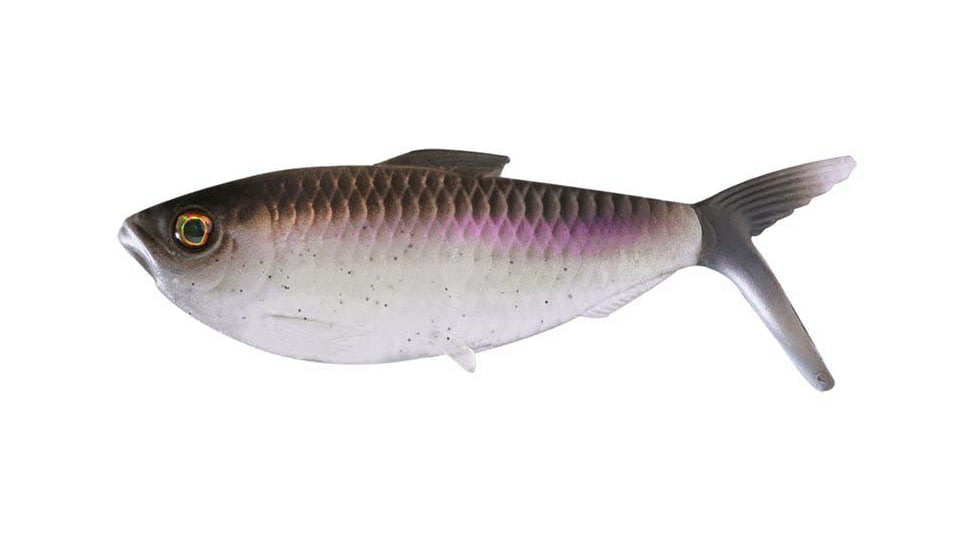 Rapala The Dine Swimbaits, 7, 4.25 - 5in, American Shad, CB-DINE4.25-1