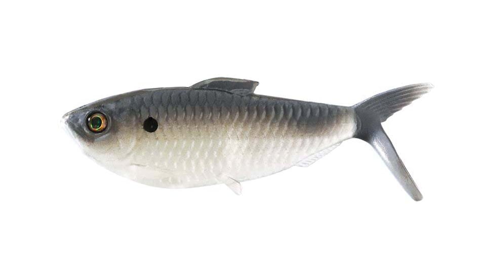 Rapala The Dine Swimbaits, 7, 4.25 - 5in, Natural Shad, CB-DINE4.25-2