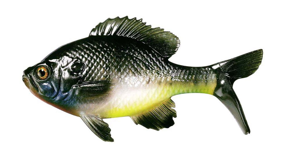 Rapala The Gill Boot Tail Swimbaits, 7, 5.25in, Natural Bluegill, CB-Gill5.25-9