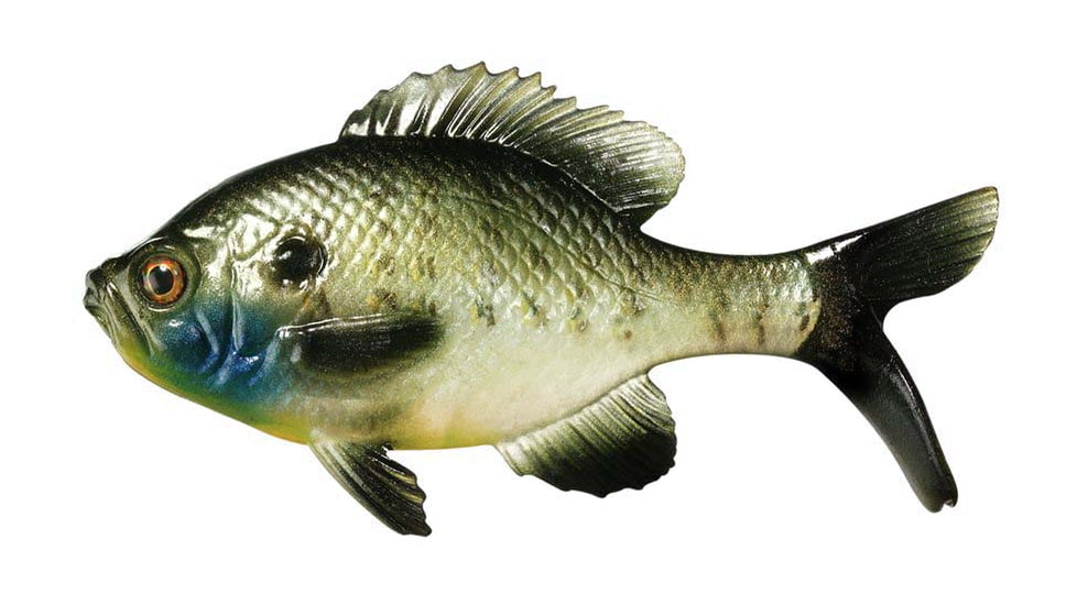 Rapala The Gill Boot Tail Swimbaits, 1, 5.25in, Natural Sunfish, CB-Gill5.25-8