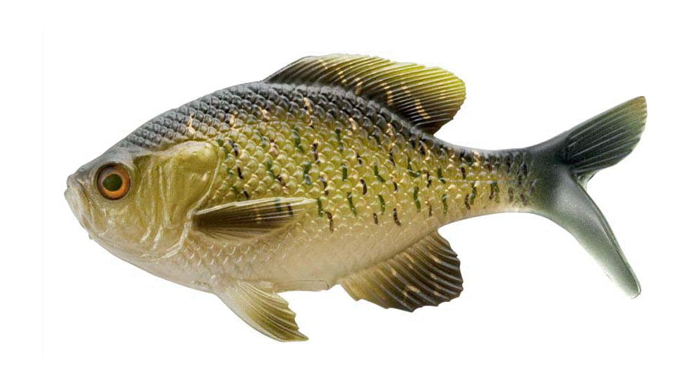 Rapala The Gill Wege Tail Swimbaits, 1, 5.25in, Rusty Bream, CB-GillW5.25-11