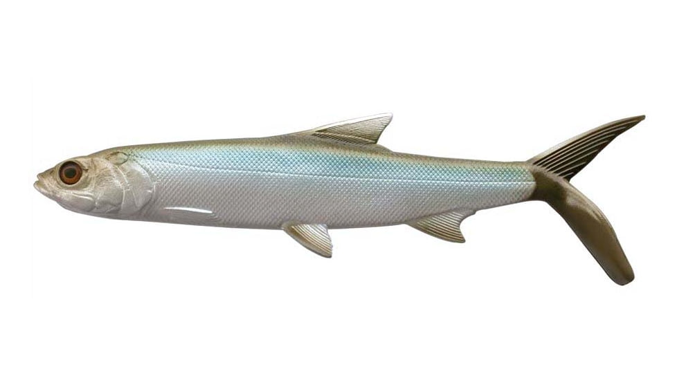 Rapala The Ladyfish Boot Tail Swimbaits, 1, 5 - 8in, Dark Ladyfish, CB-LFB8-28