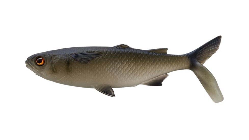 Rapala The Mullet Boot Tail Swimbaits, 1, 5 - 6.5in, Dark Mullet, CB-MULLET-B-6.5-21