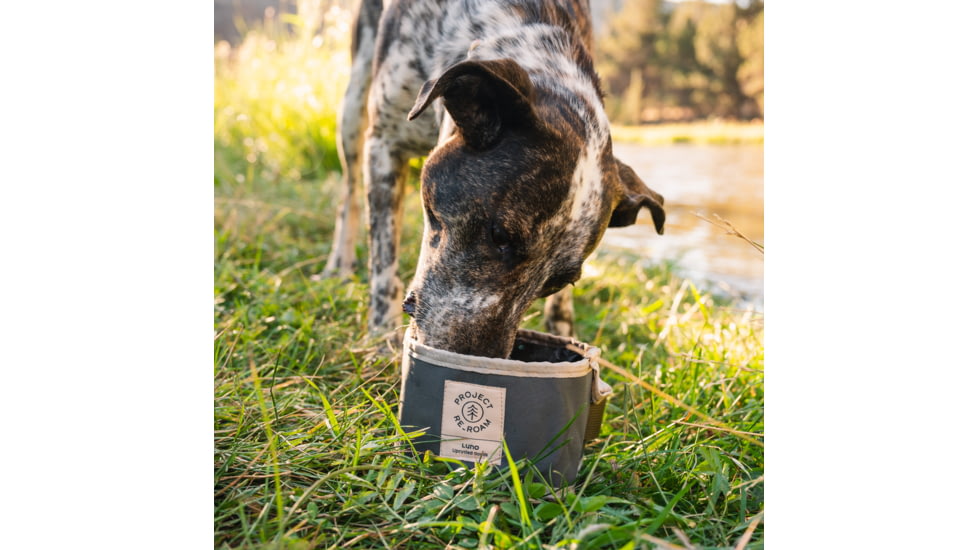 Luno Collapsible Dog Bowl 833AD2E5, Burnt Orange, RER-007-R1