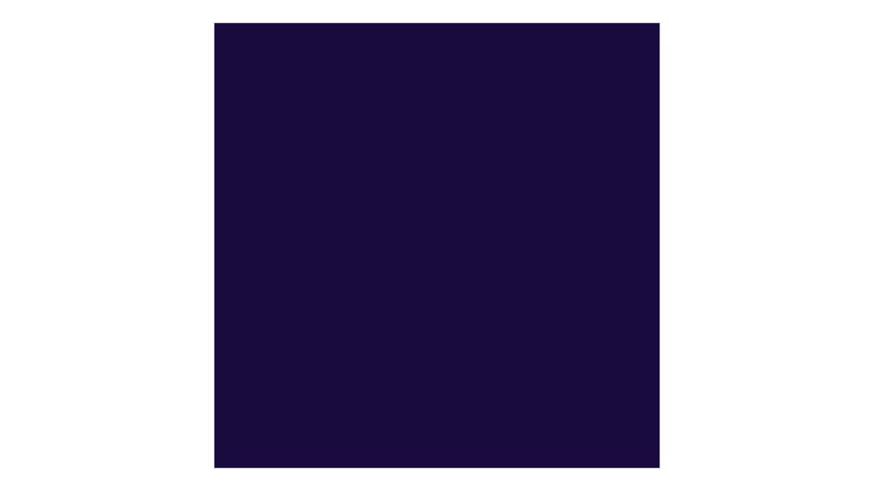AceCamp Nylon Repair Patch-Blue