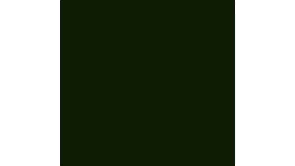 AceCamp Nylon Repair Patch-Dark Green