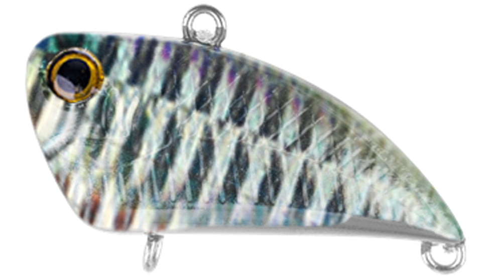 Acme Stubz, Buddy Ruff, 1.25in, 12SZ/BR