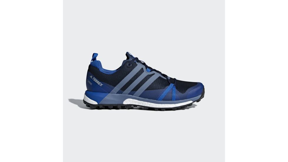 Adidas Terrex Agravic GTX Trail Running Shoe - Men's, Col. Navy/Raw Steel/Blue Beauty, 10, CM7611-10