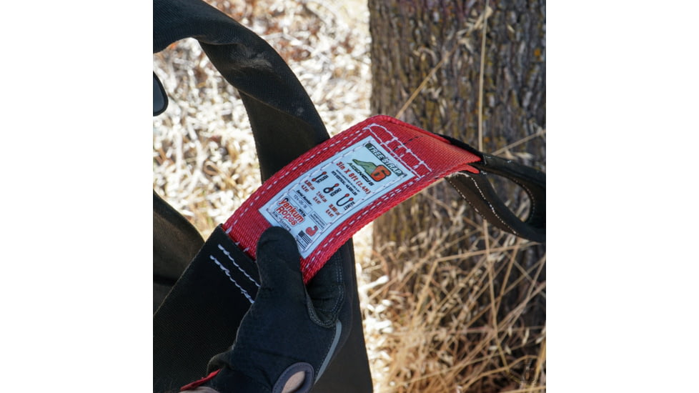 Agency 6 Tree Strap