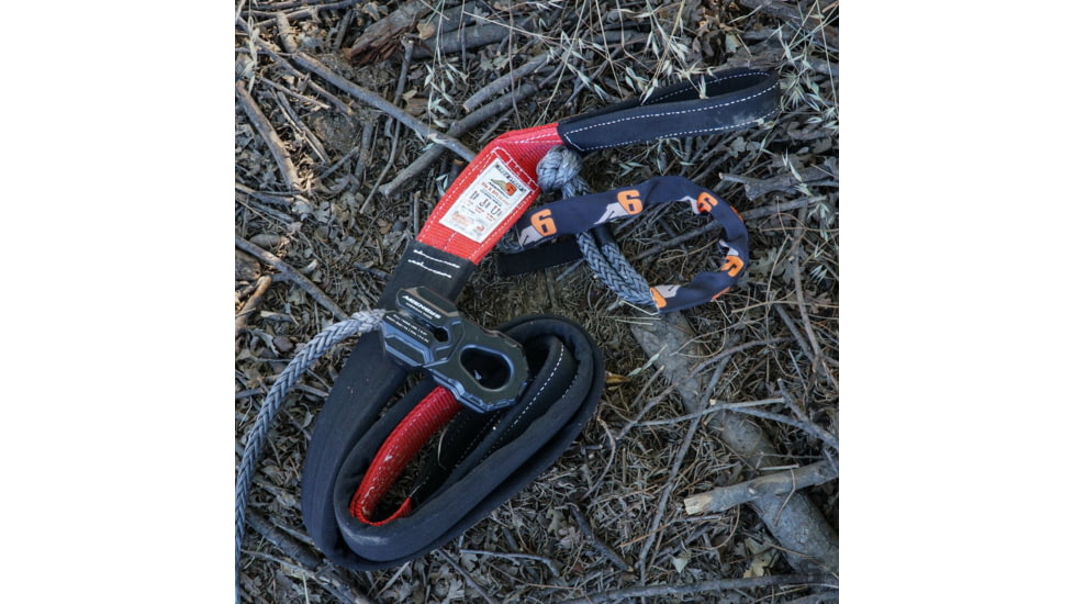 Agency 6 Tree Strap