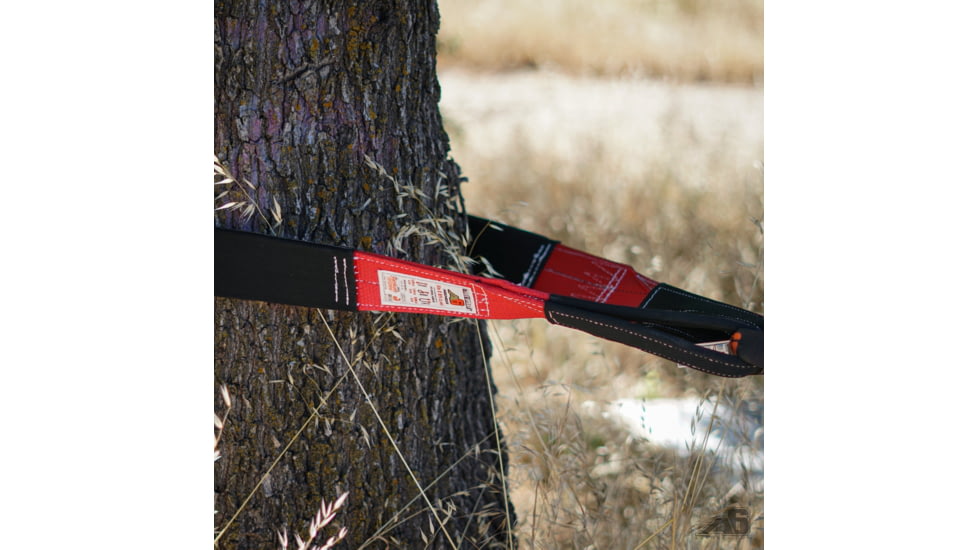 Agency 6 Tree Strap
