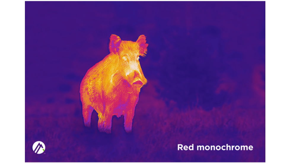 Alpen Apex 2-8X35mm Thermal Monocular, 384 x 288px, Green, 1212957