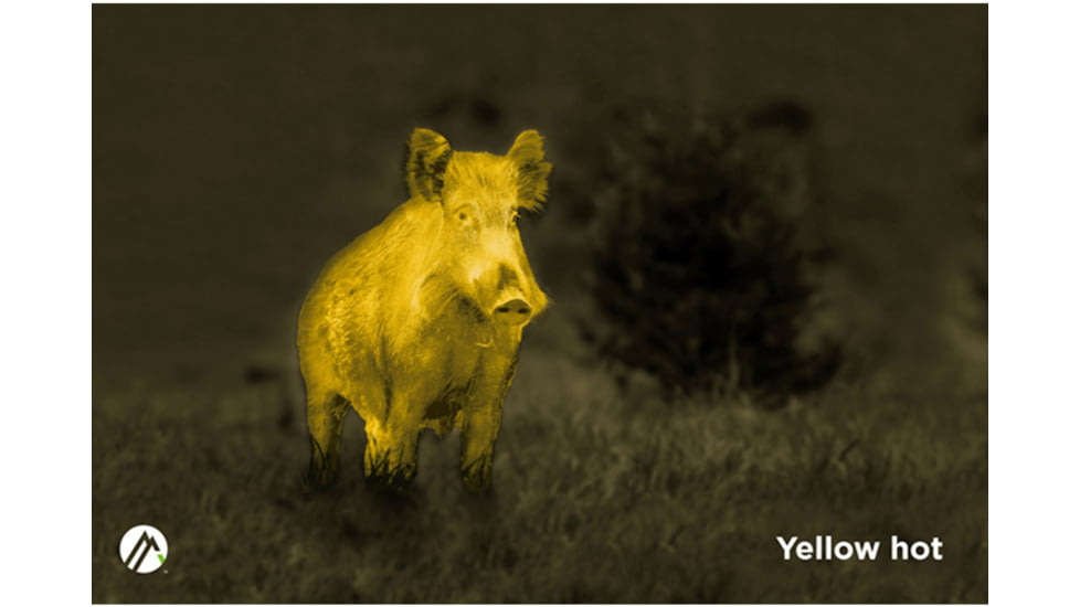 Alpen Apex 2-8X35mm Thermal Monocular, 384 x 288px, Green, 1212957