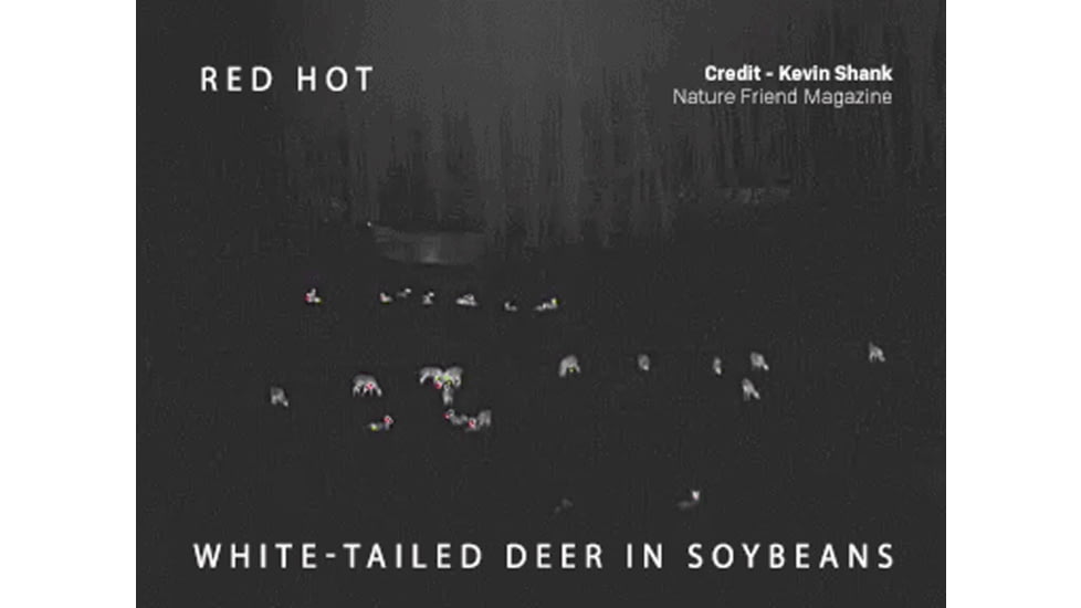 Alpen Apex 2-8X35mm Thermal Monocular, 384 x 288px, Green, 1212957