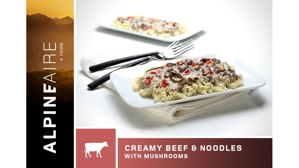 Katadyn Alpine Aire Foods Creamy Beef and Noodles with Mushrooms - 2 Servings
