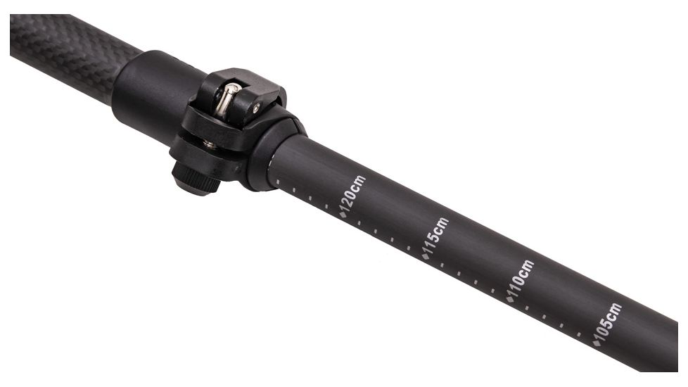ALPS Mountaineering Momentum 2-Pack Trekking Poles, Black, 7897401