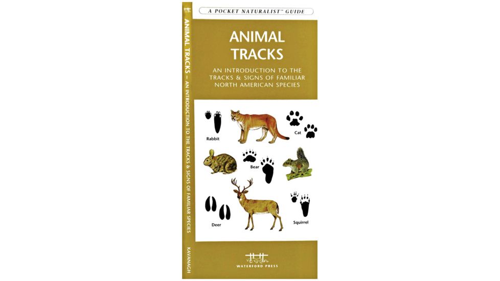 Pocket Naturalist Extreme Heat Survival 9781583558591