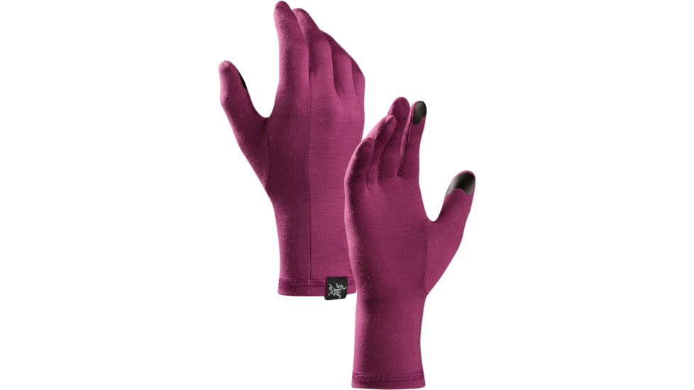 Arc'Teryx Gothic Glove - Unisex, LT Chandra-X-Small