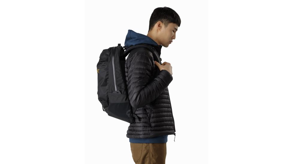 Arcteryx Arro 22 Backpack - Unisex, 24K Black, 392319