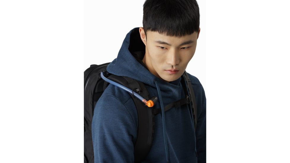 Arcteryx Arro 22 Backpack - Unisex, 24K Black, 392319