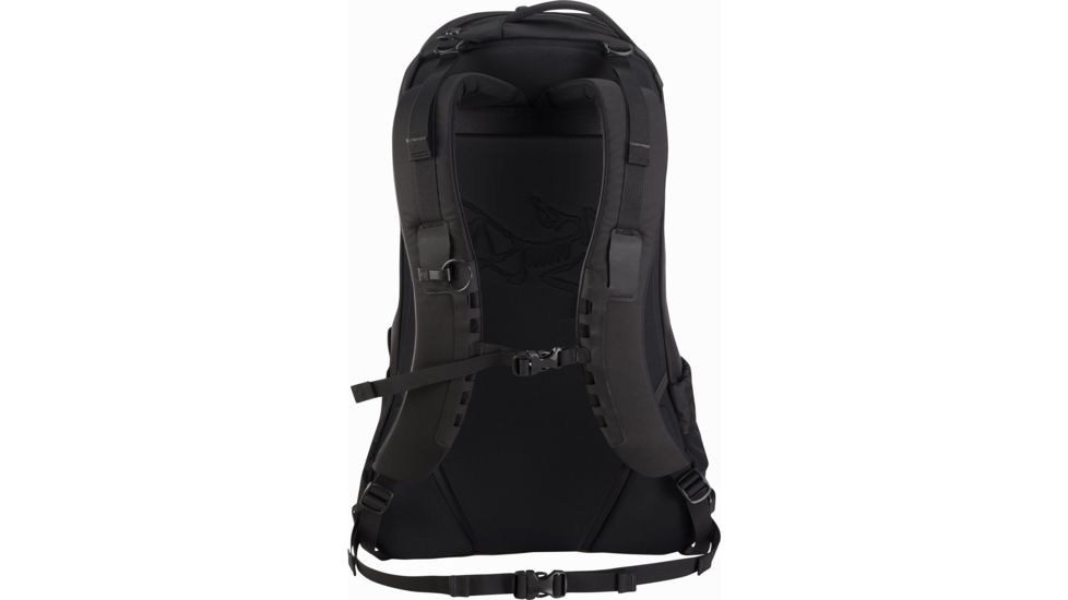 Arcteryx Arro 22 Backpack - Unisex, Wildwood, 392320