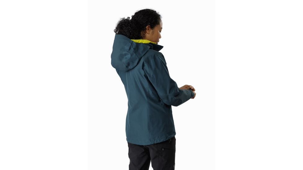 Arcteryx Beta Ar Jacket - Womens, Labyrinth, Large, 391419