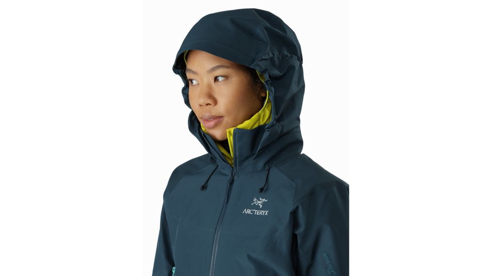 Arcteryx Beta Ar Jacket - Womens, Labyrinth, Large, 391419