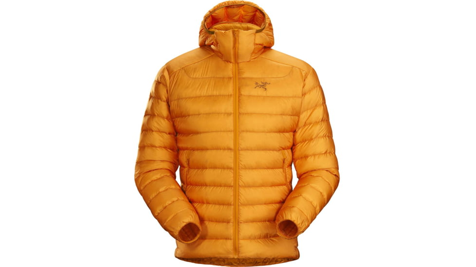 Arcteryx Cerium LT Hoody - Mens, Quantum, Medium, 434900