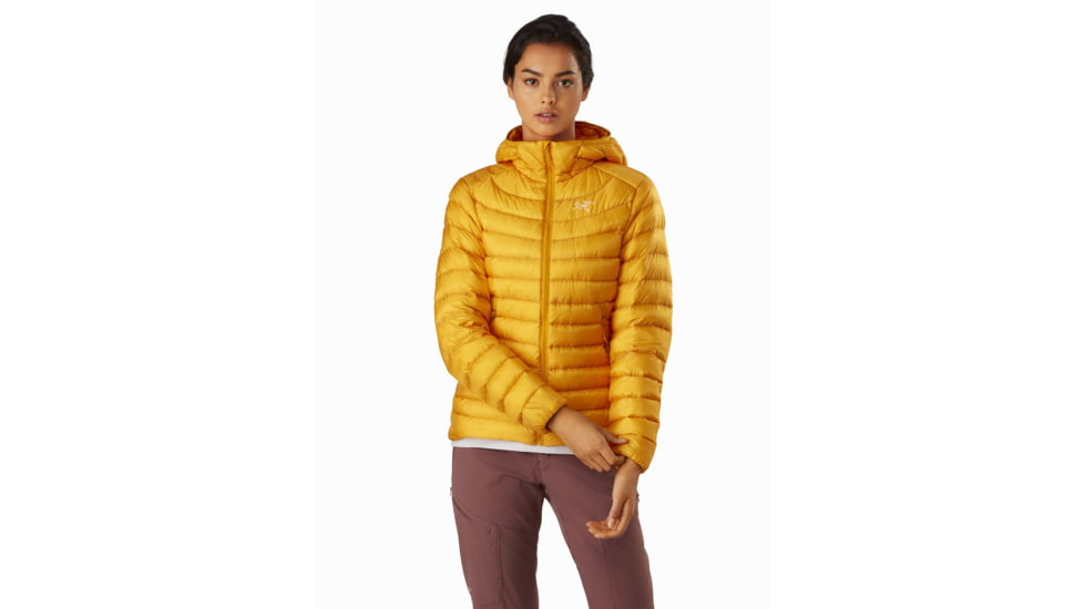 Arcteryx Cerium LT Hoody - Womens, Quantum, Large, 415332