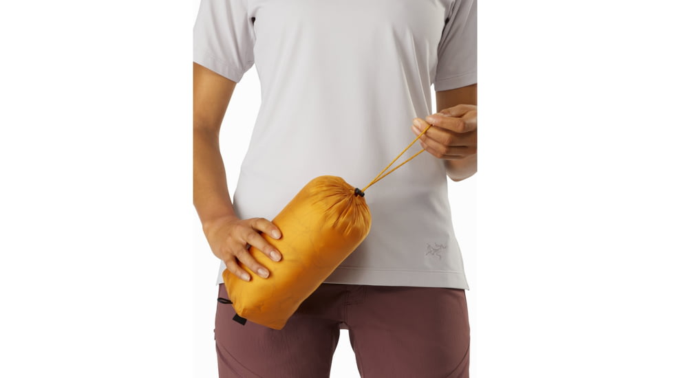 Arcteryx Cerium LT Hoody - Womens, Quantum, Large, 415332