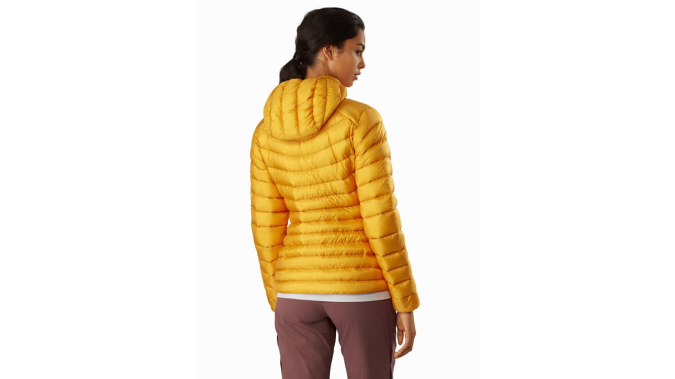 Arcteryx Cerium LT Hoody - Womens, Quantum, Large, 415332