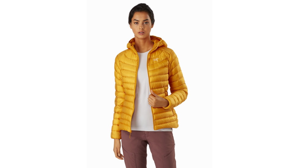 Arcteryx Cerium LT Hoody - Womens, Quantum, Large, 415332