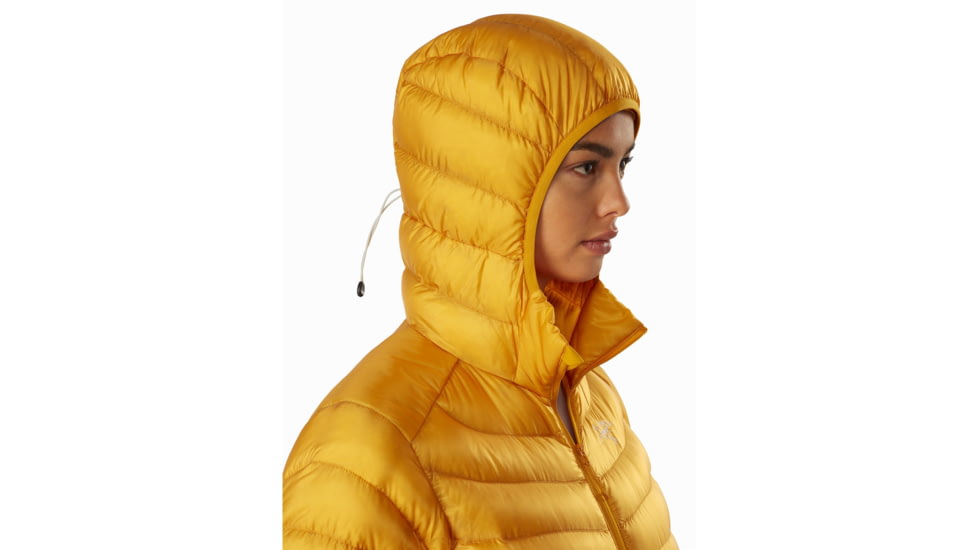 Arcteryx Cerium LT Hoody - Womens, Quantum, Large, 415332